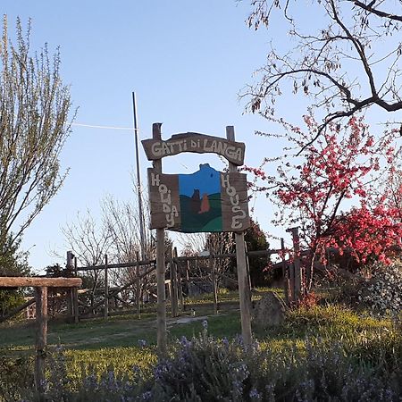 Gatti Di Langa Villa Dogliani Exterior photo